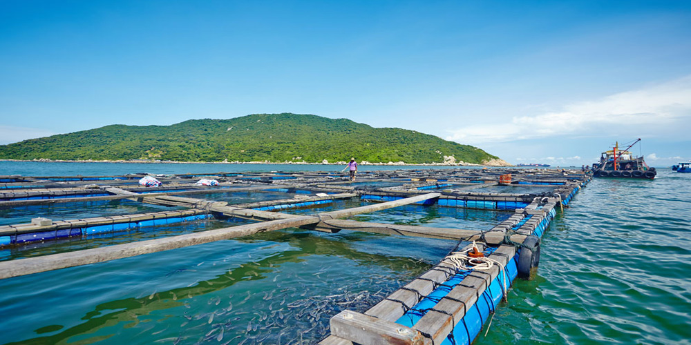 我國三大海洋經濟圈持續擴能